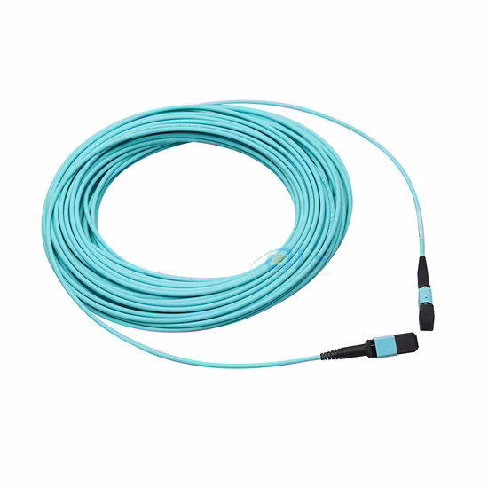 China Factory LC/SC/FC/ST/MTRJ/E2000 Single Mode Multimode PVC LSZH Fiber Optic Patch Cord