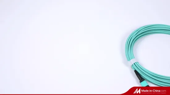 China Factory LC/SC/FC/ST/MTRJ/E2000 Single Mode Multimode PVC LSZH Fiber Optic Patch Cord